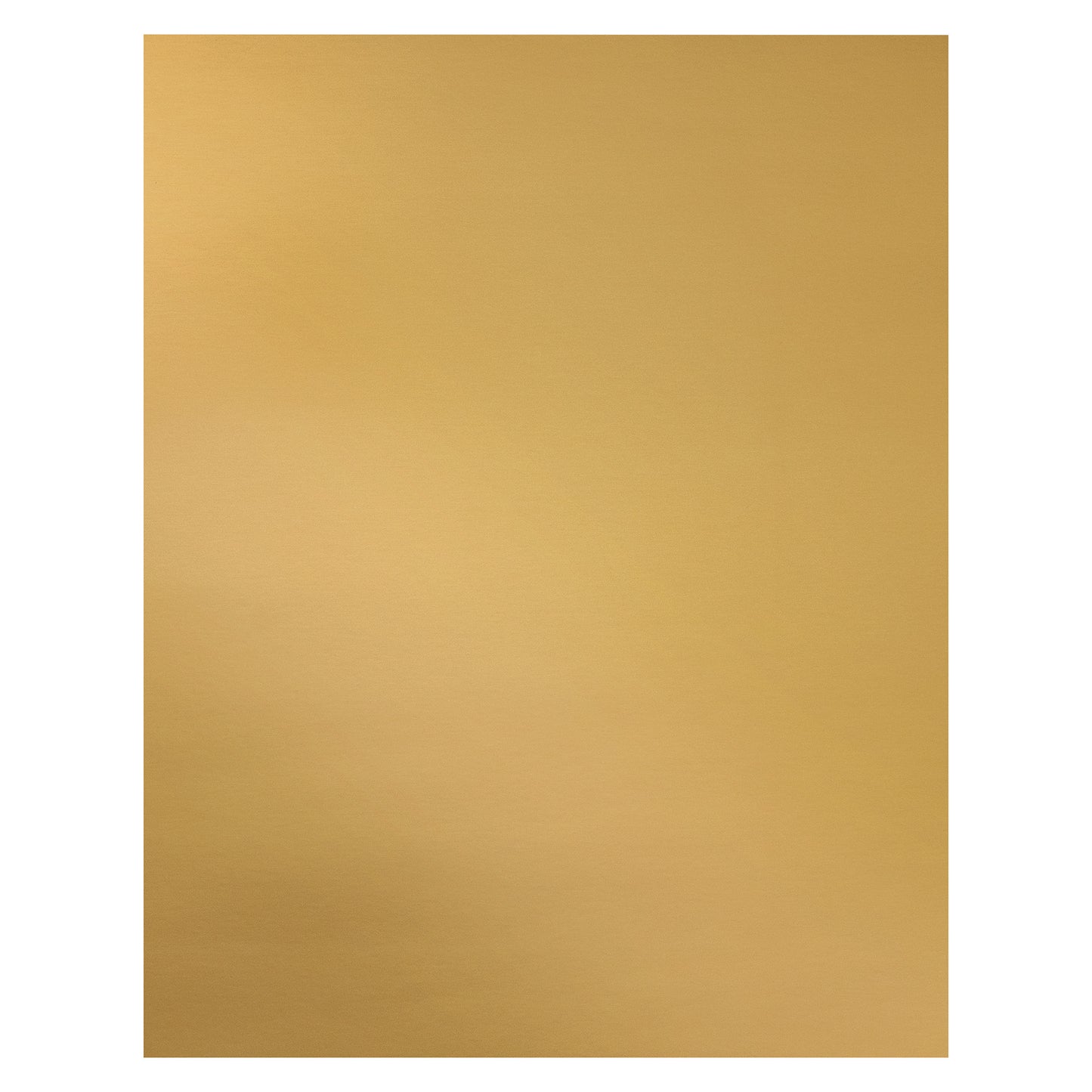 229580794.jpg