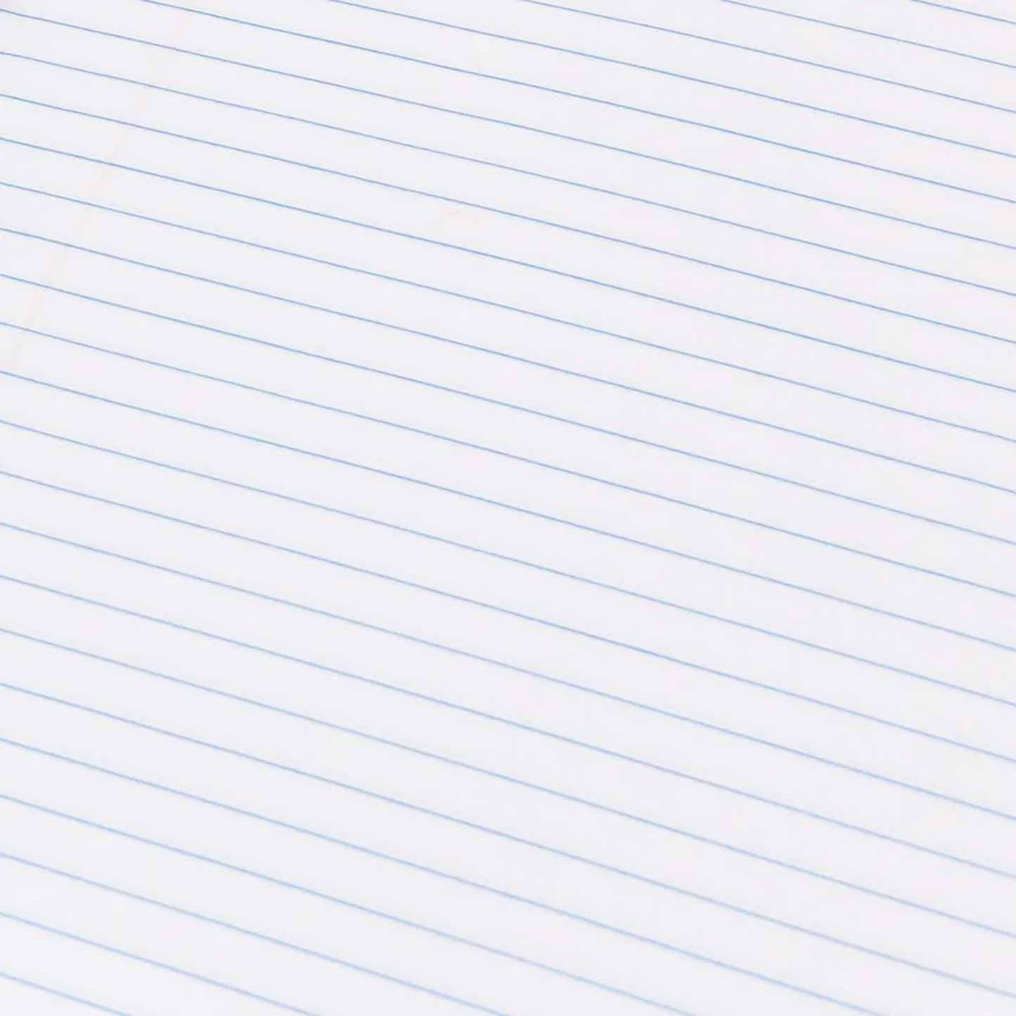 256048736.jpg