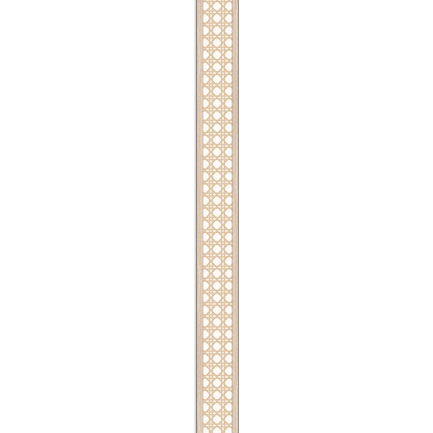 256050997.jpg