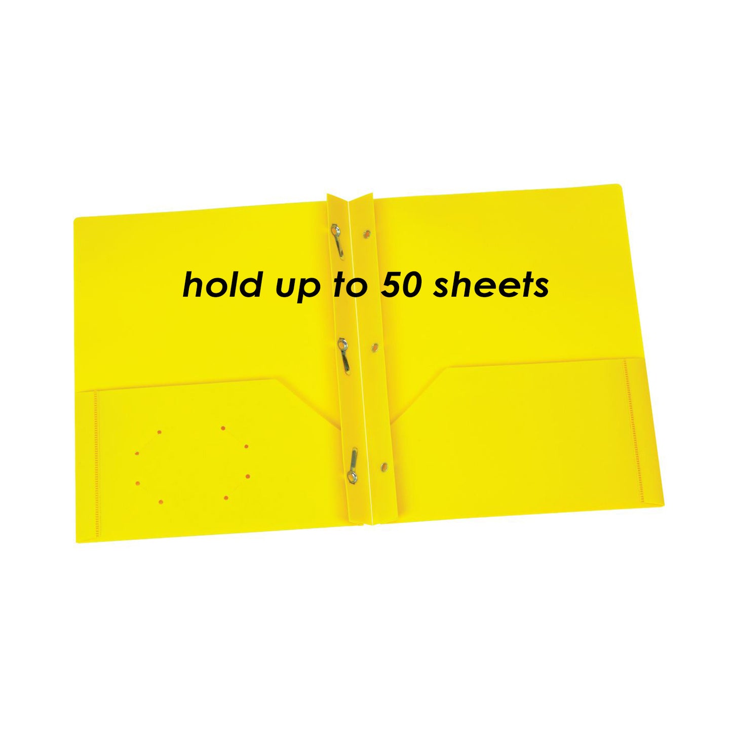256054542.jpg