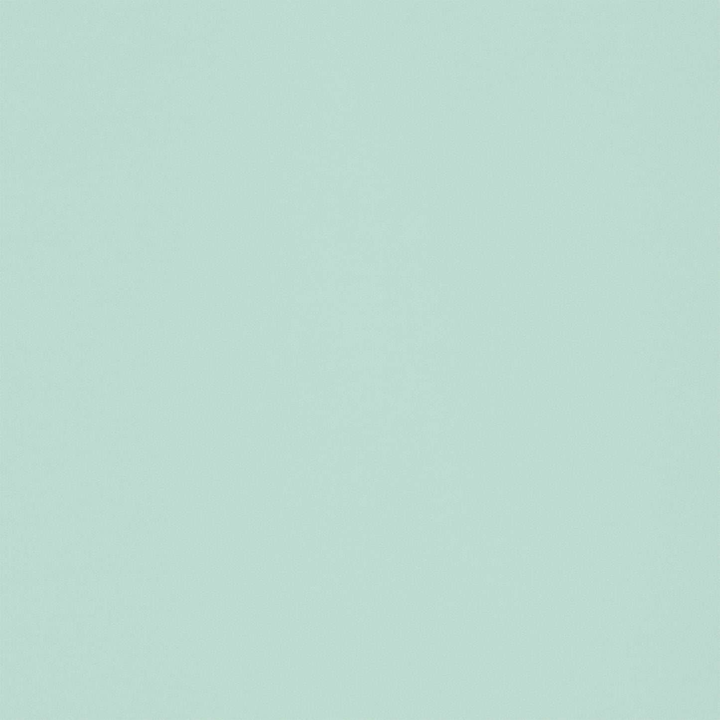 256058322.jpg