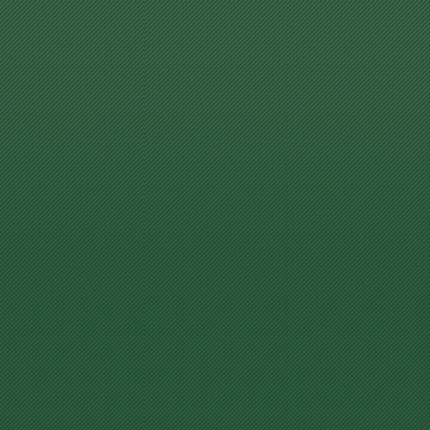 256062810.jpg