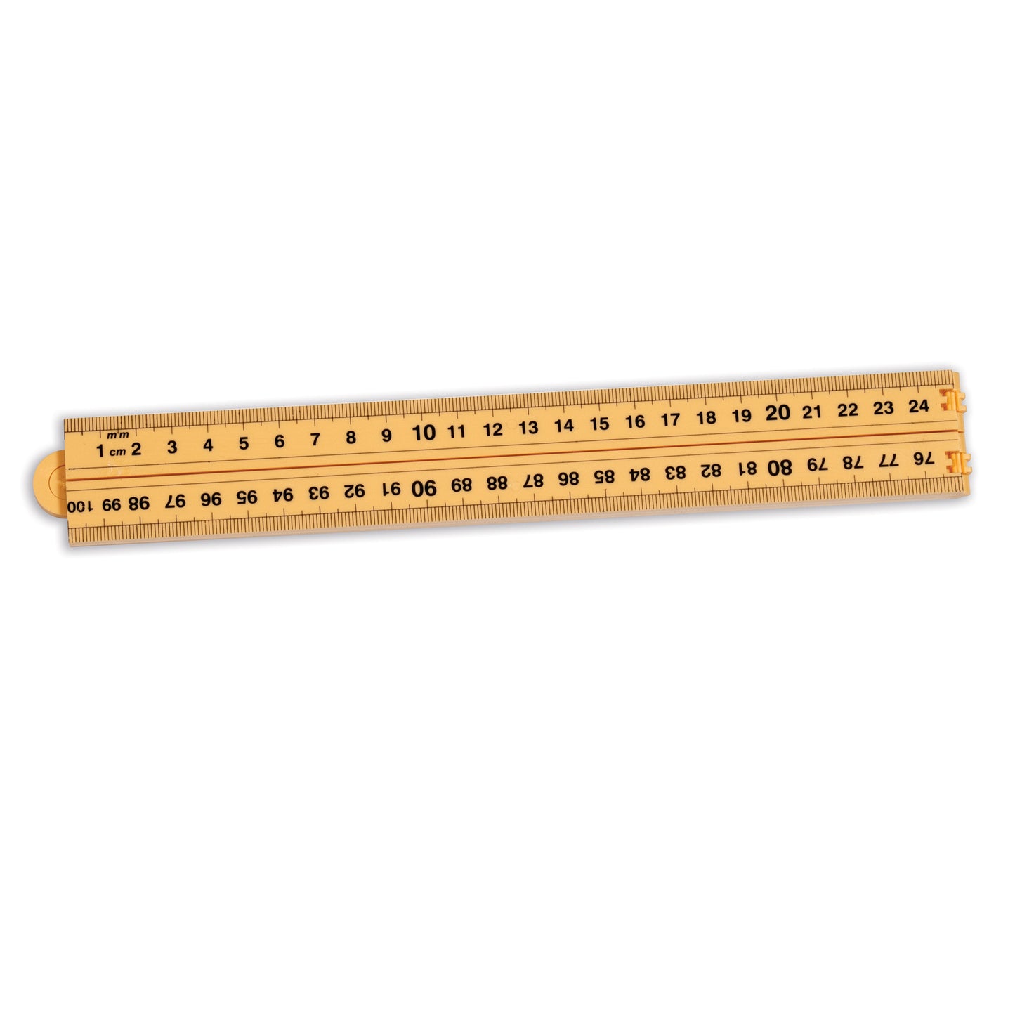 259343513.jpg