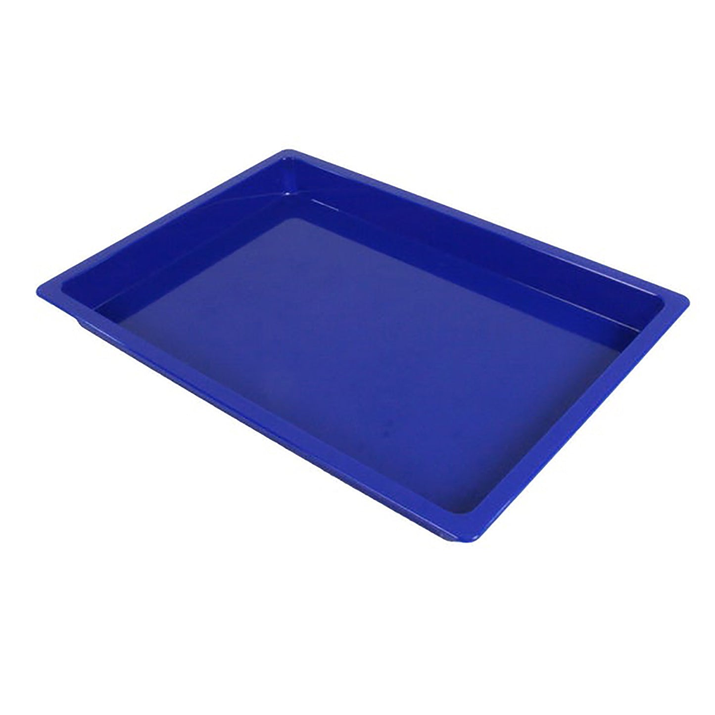 259350131.jpg