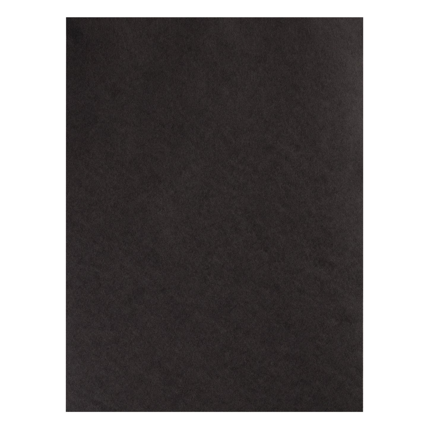 259370016.jpg