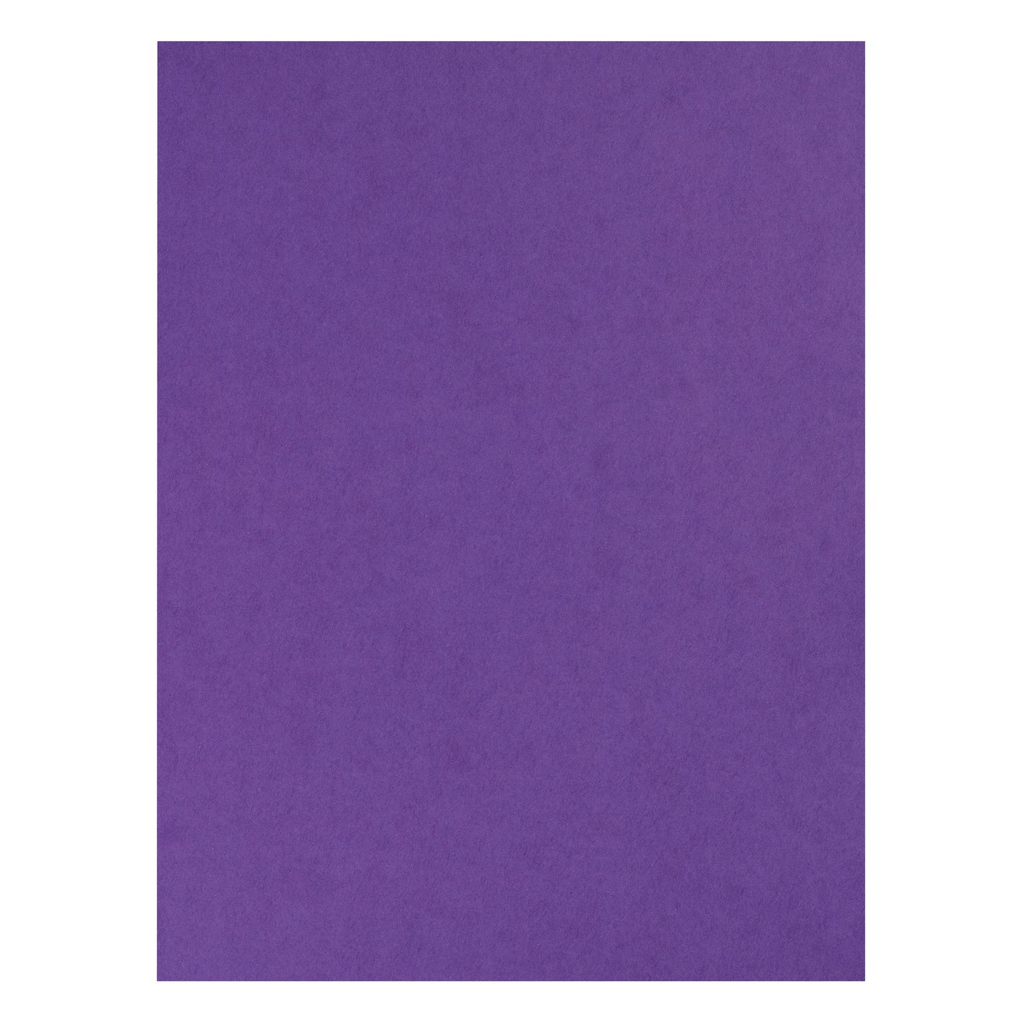 259370019.jpg