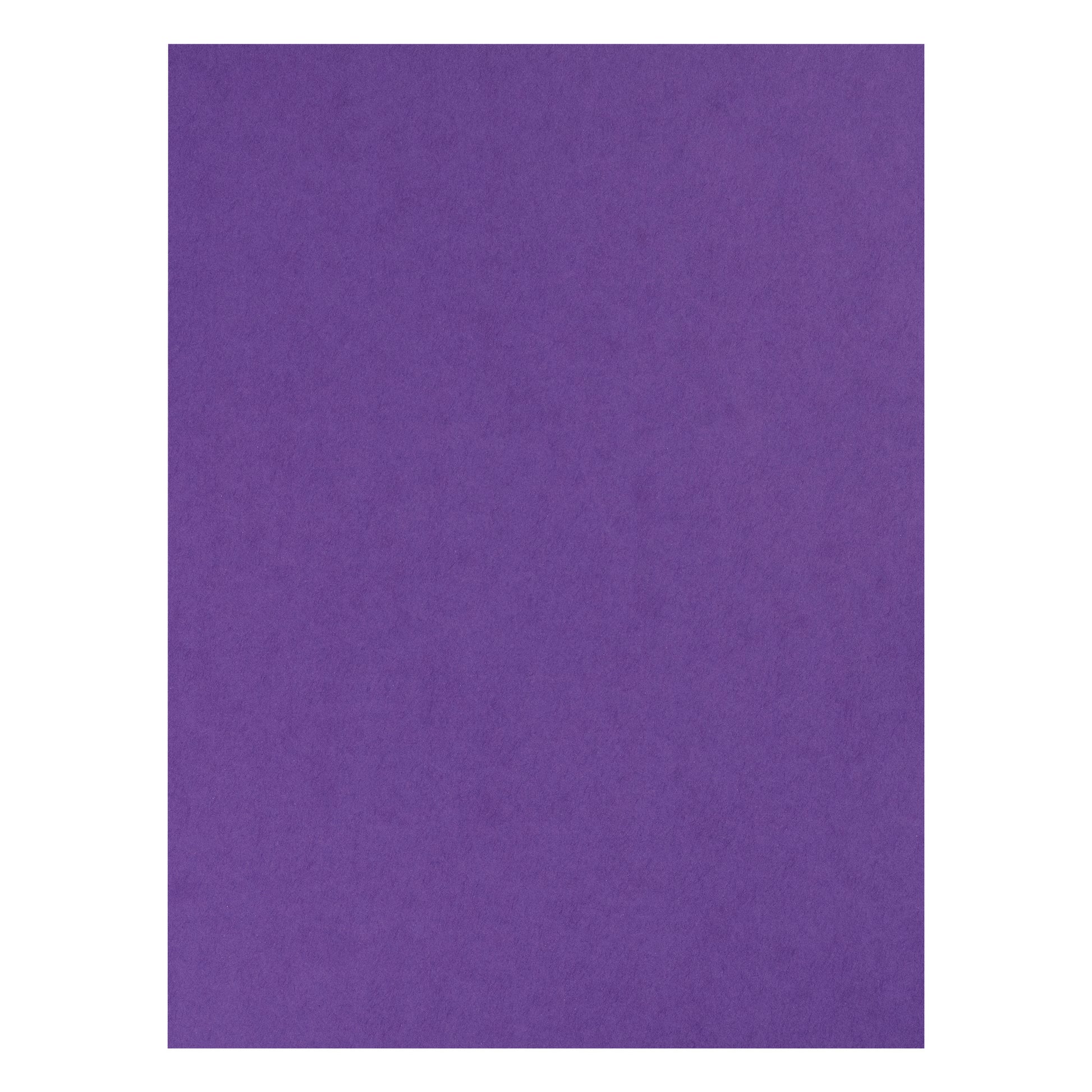 259370019.jpg