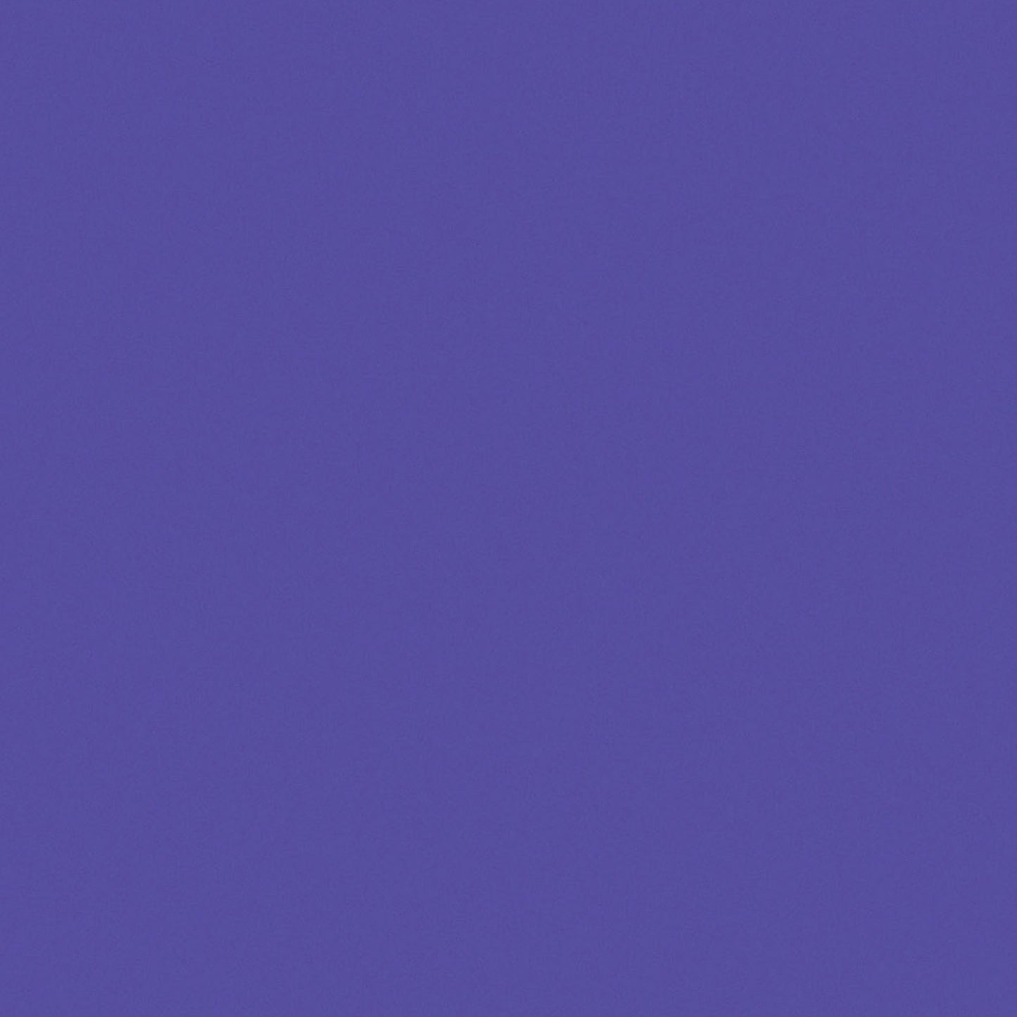 259370315.jpg