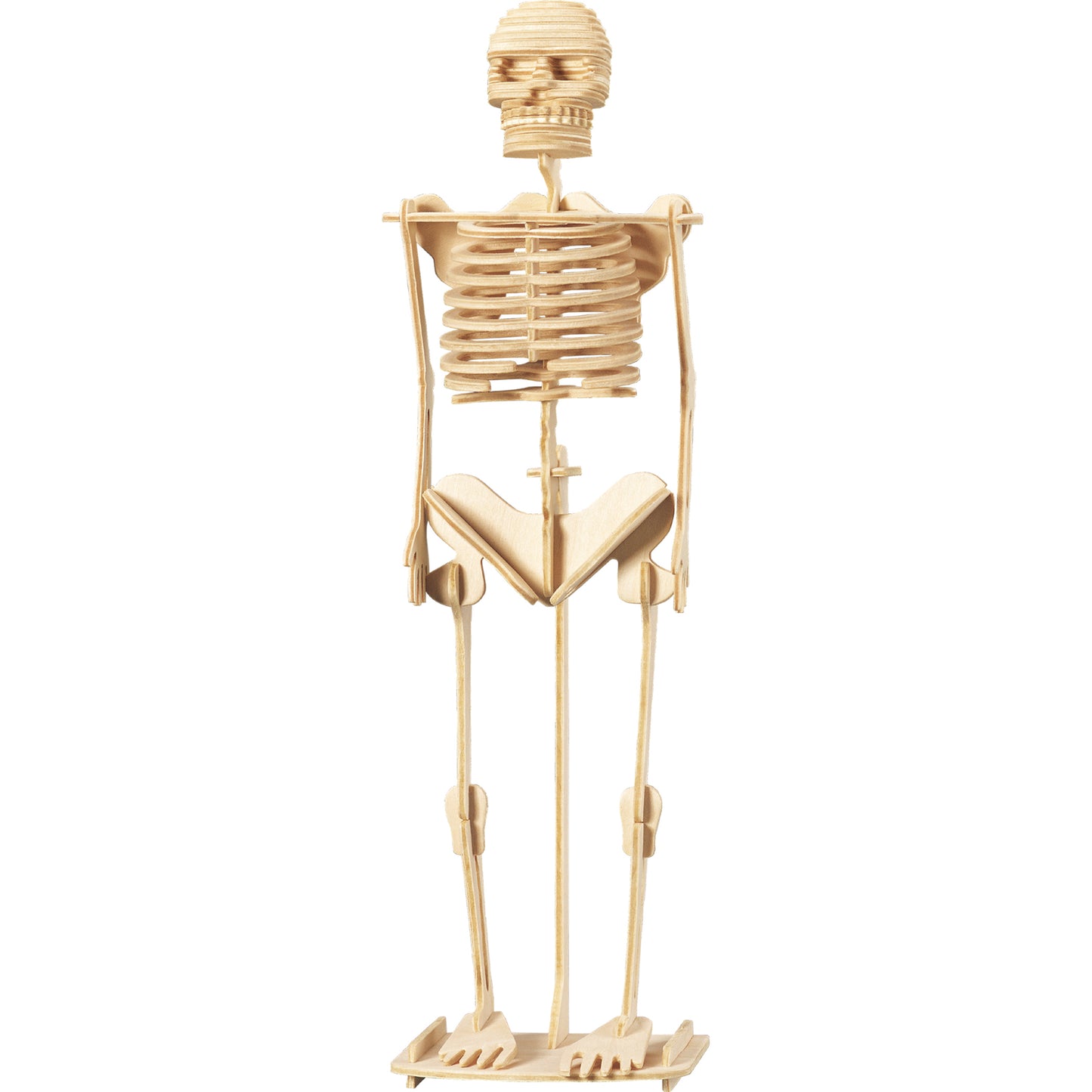259371374.jpg