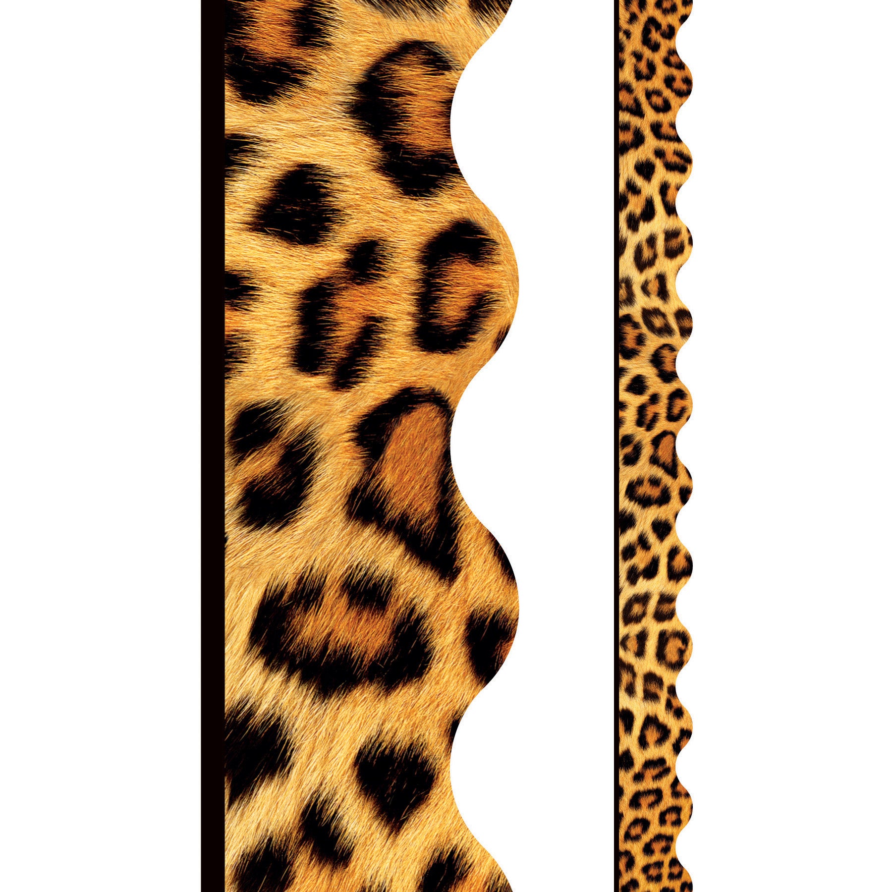 259373183.jpg