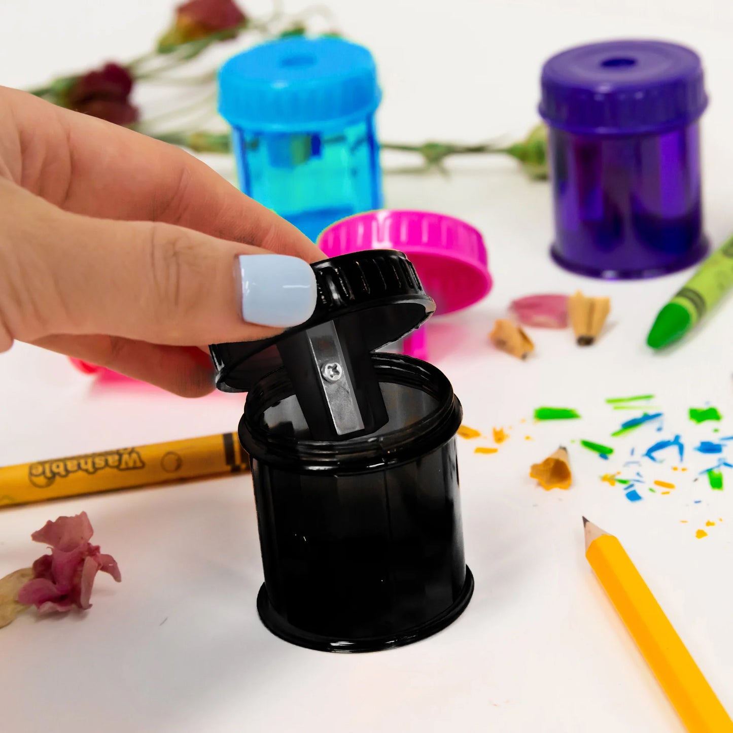 Dual Blade Square Sharpener with Receptacle & Round Receptacle Sharpener, Assorted Colors, 2 Per Pack, 24 Packs