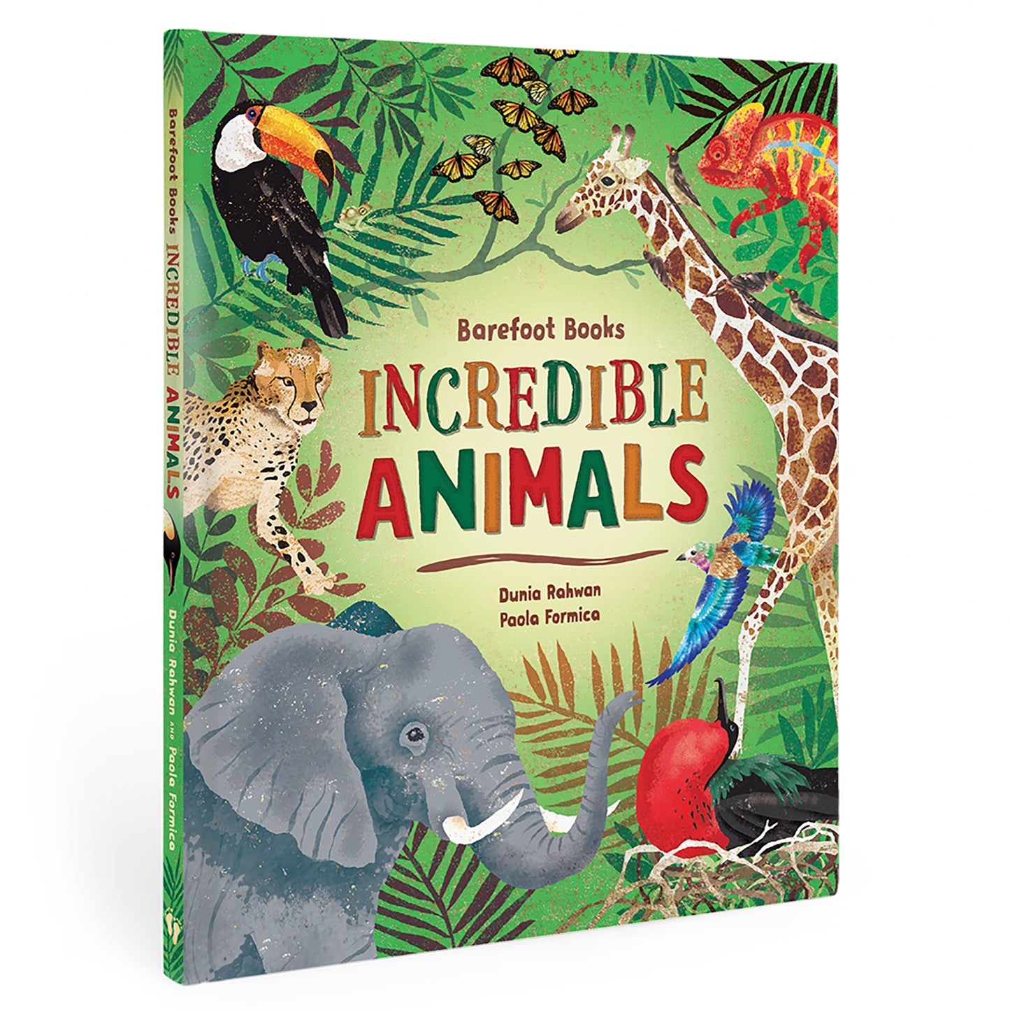 3rd Grade STEAM Book Bundle, Set of 4