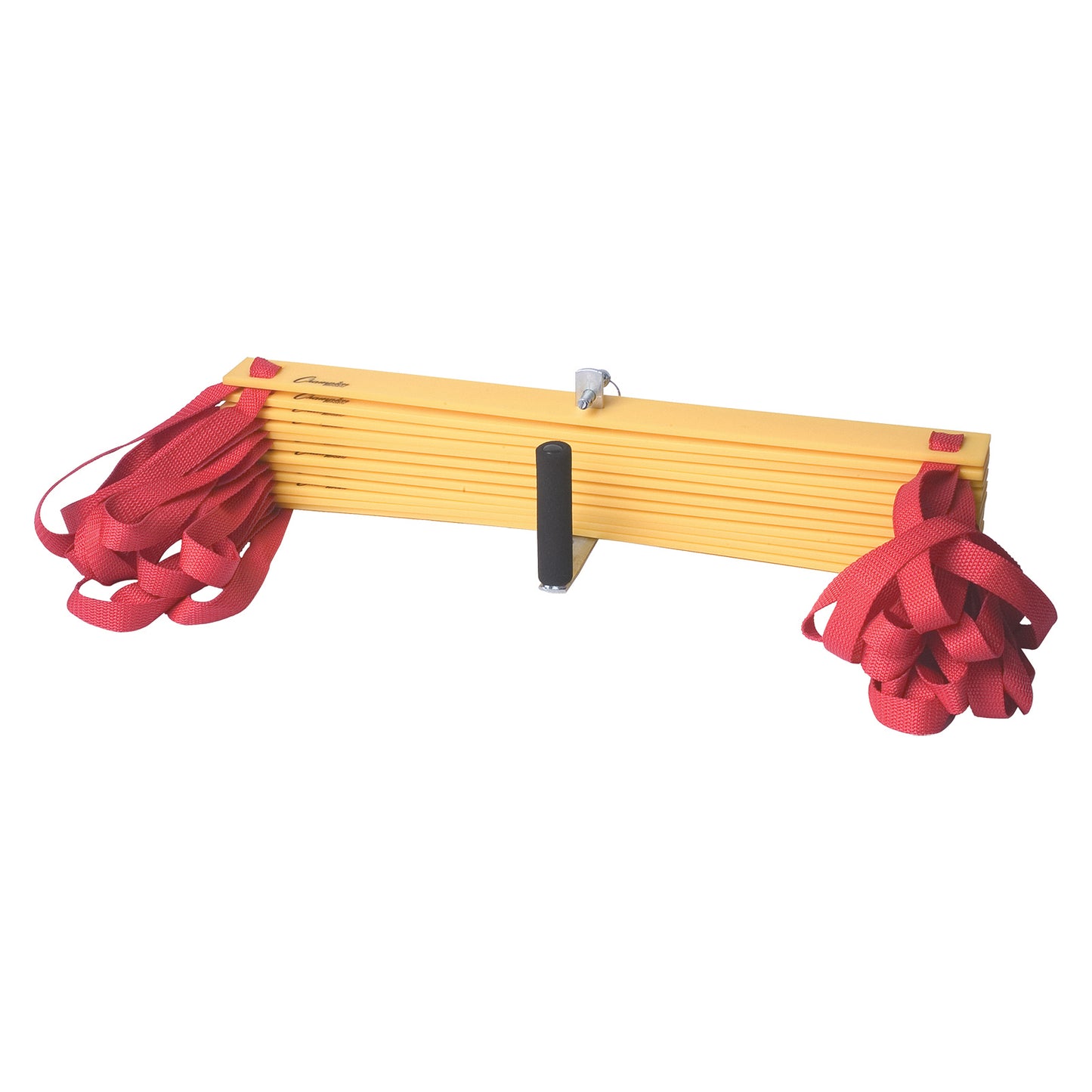 Champion Sports Economy Agility Ladder (CHSAGLXX)