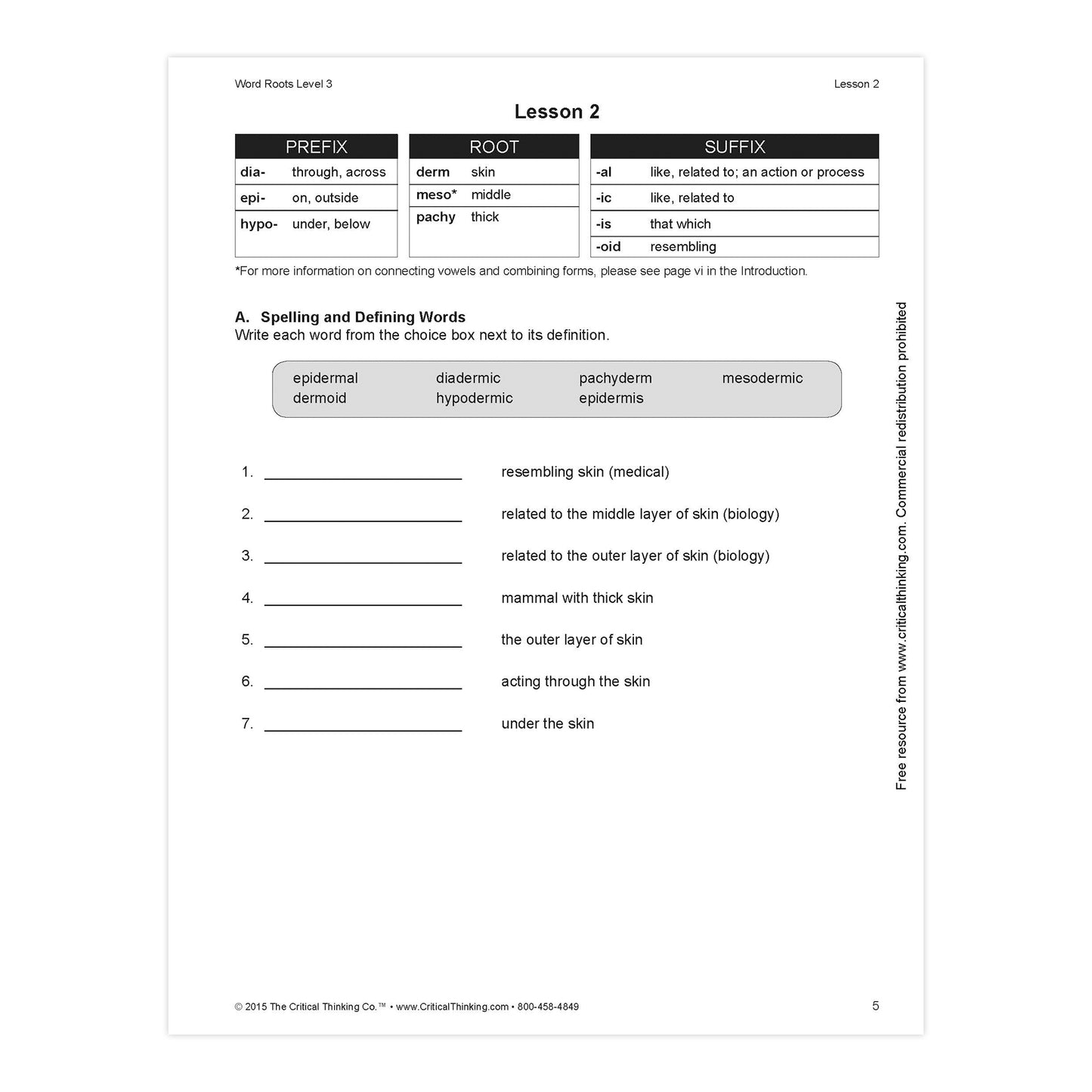 Word Roots Level 3