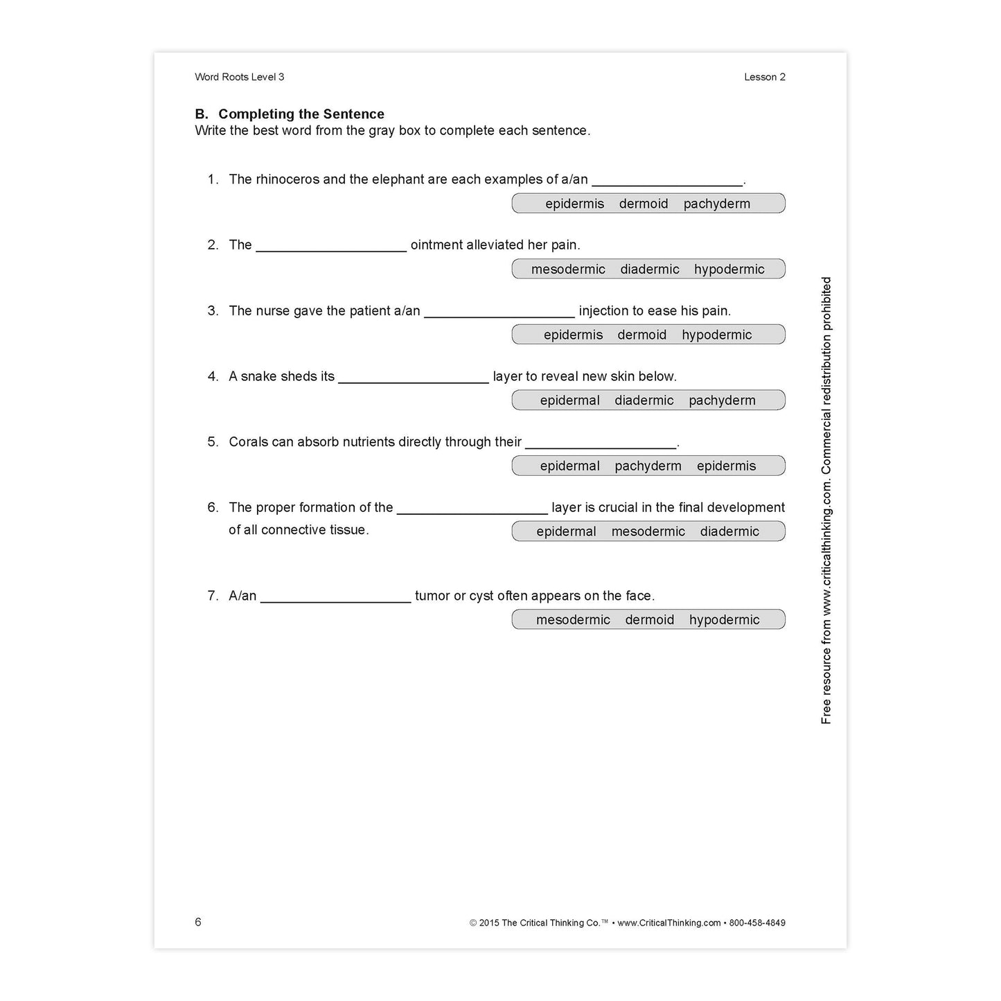 Word Roots Level 3
