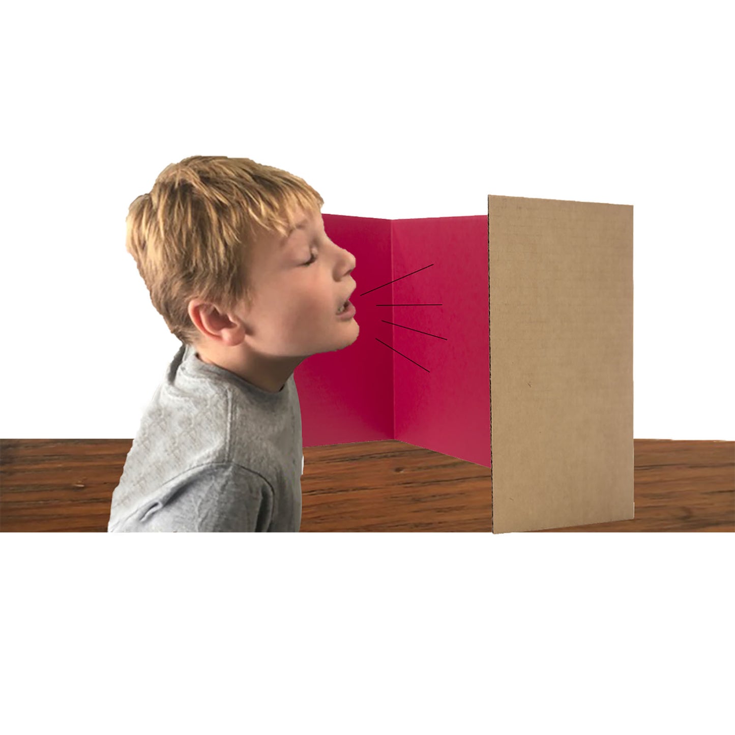 Flipside Privacy Shield, Assorted Colors, 24 Count, 18H x 48W (FLP 61849)