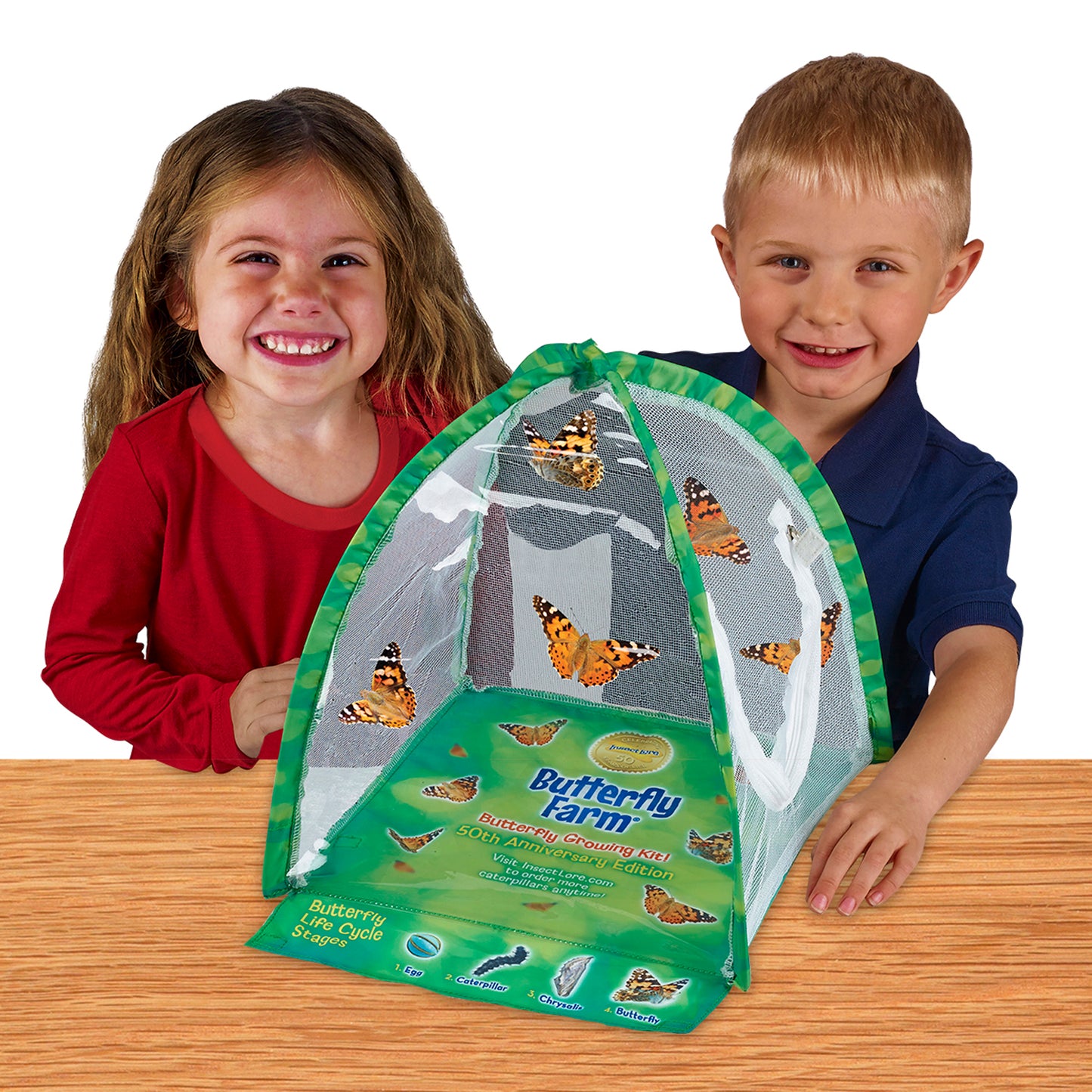Insect Lore Butterfly Farm (ILP 1015)