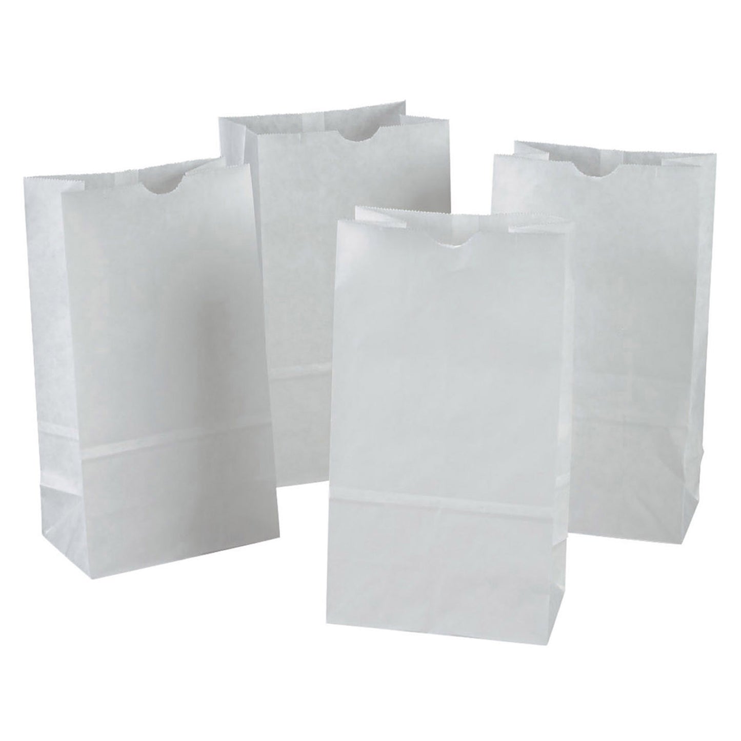 Dixon White Kraft Bag, 100 Pack, 6 x 3-5/8 x 11 (PAC 72020)