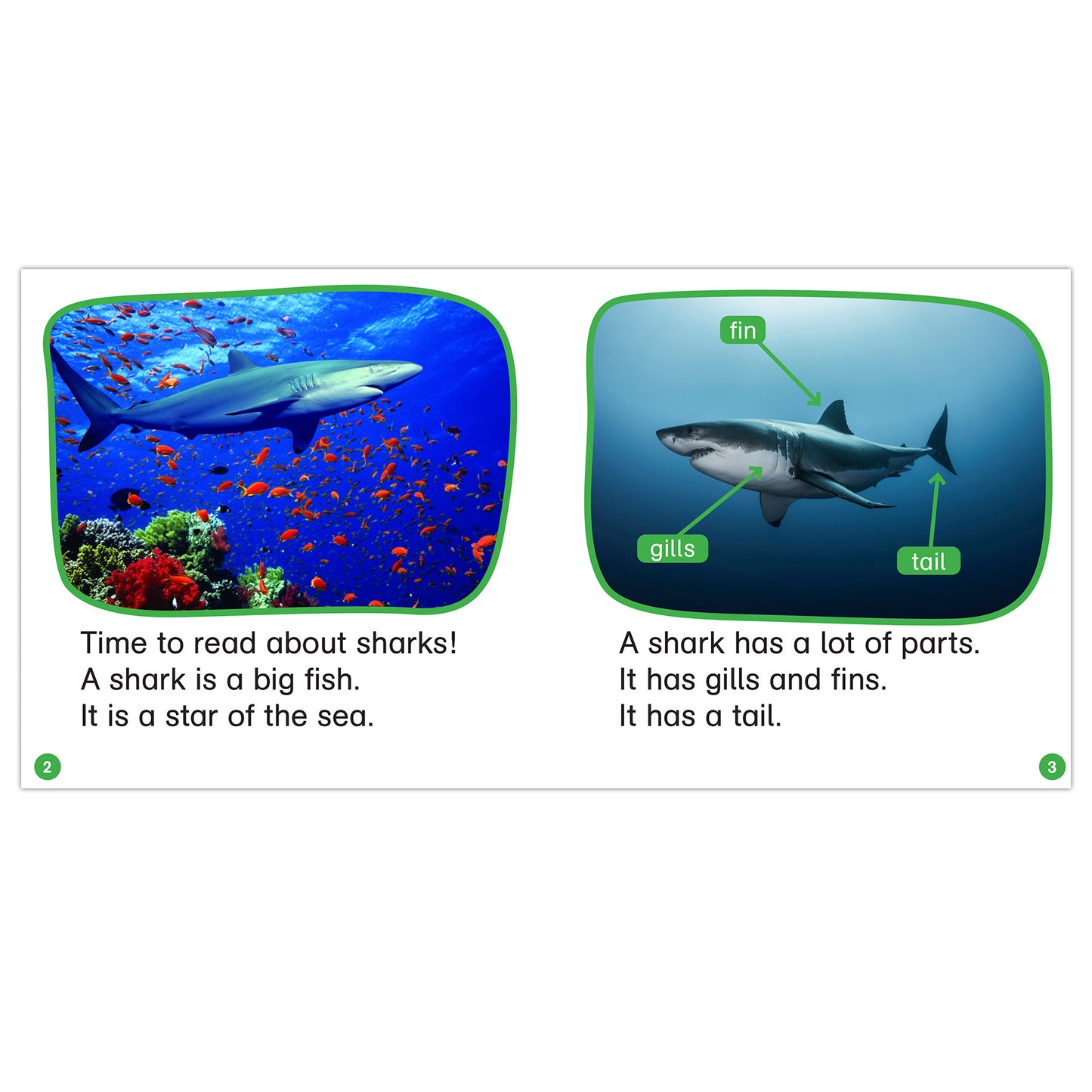 Scholastic R Controlled, Variant Vowels, and More Nonfiction Phonics Readers (SC-9781338894714)
