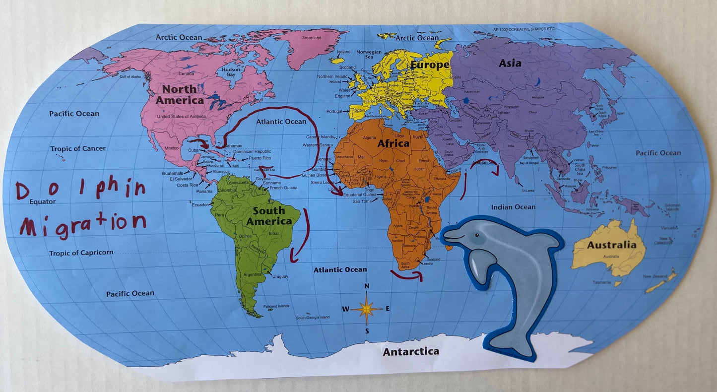 SHAPES ETC. World Practice Map Combo Pack- 8” x 16”