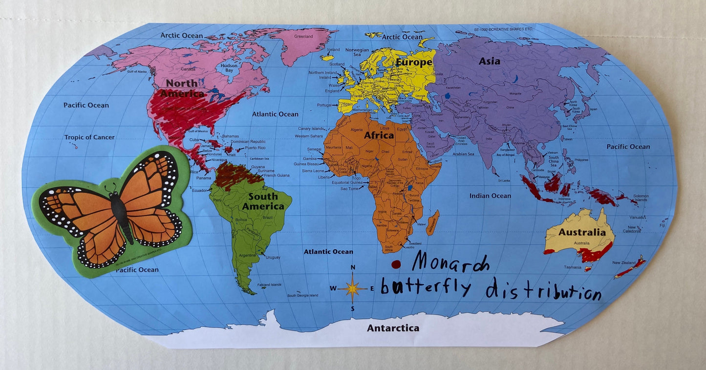 SHAPES ETC. World Practice Map Combo Pack- 8” x 16”