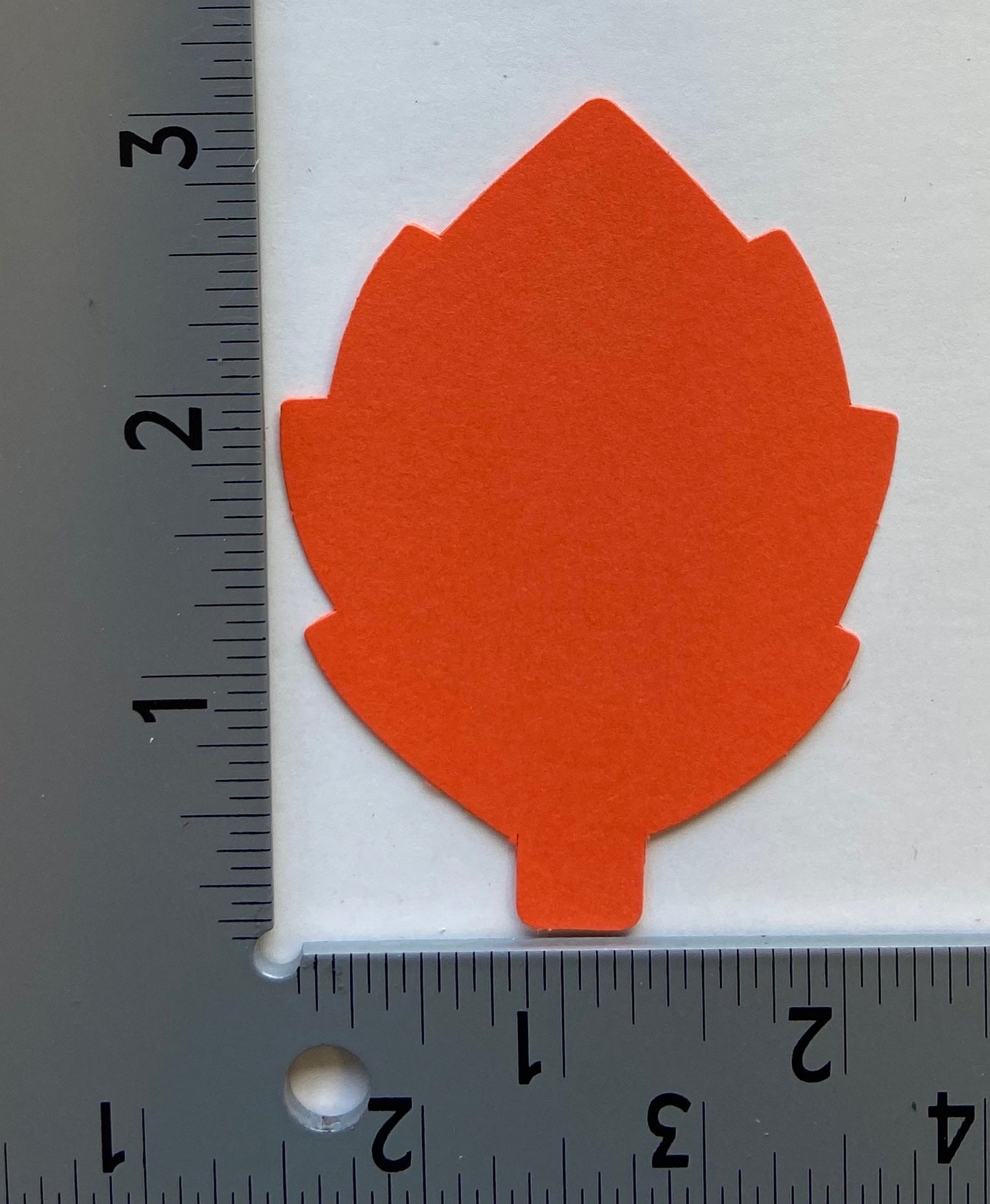 SHAPES ETC. Leaf Tri-Color Creative Cut-Outs- 3"