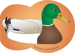 SHAPES ETC. Large Notepad - Mallard Duck