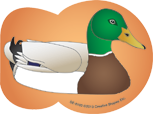 SHAPES ETC. Mini Notepad - Mallard Duck