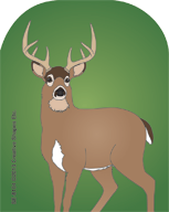 SHAPES ETC. Mini Notepad - Deer