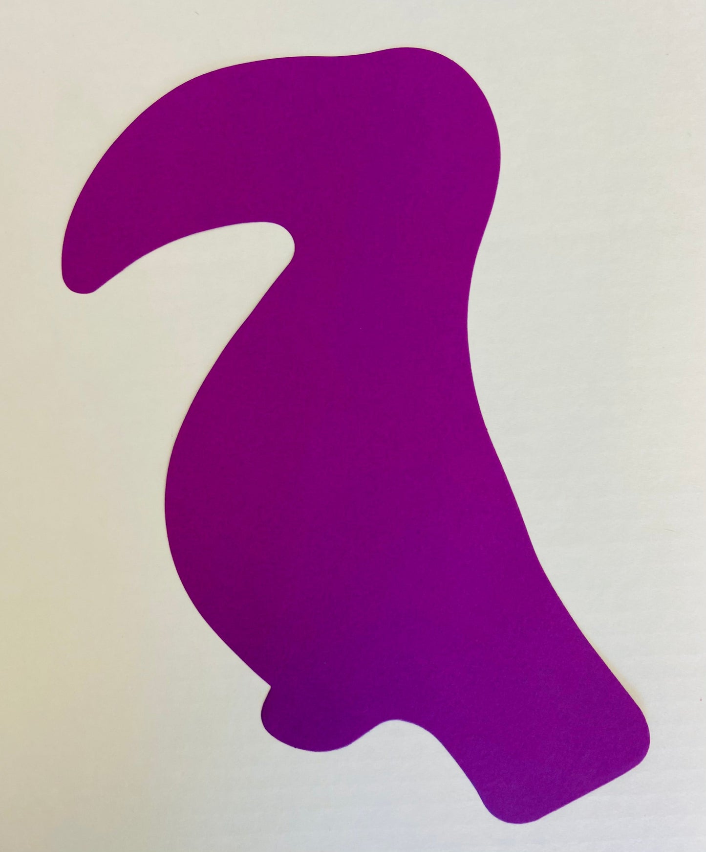 SHAPES ETC. Toucan Assorted Color Super Cut-Outs- 8” x 10”