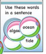 SHAPES ETC. Stationery Set - Beach