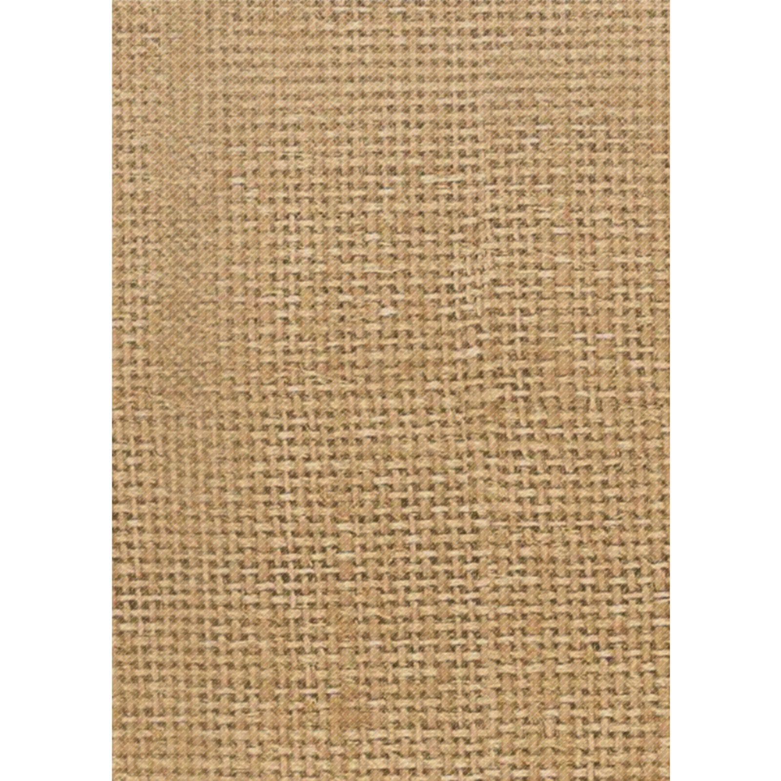 201993879.jpg
