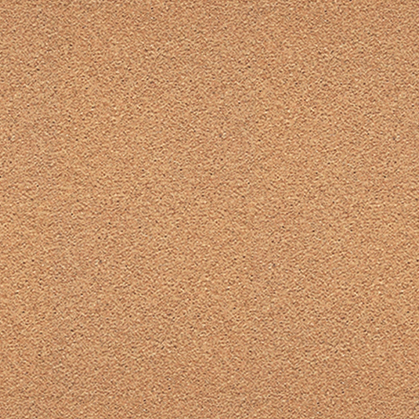 229580909.jpg