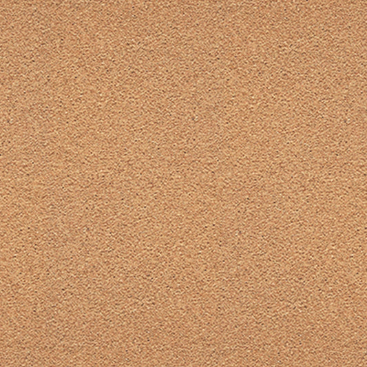 229580909.jpg