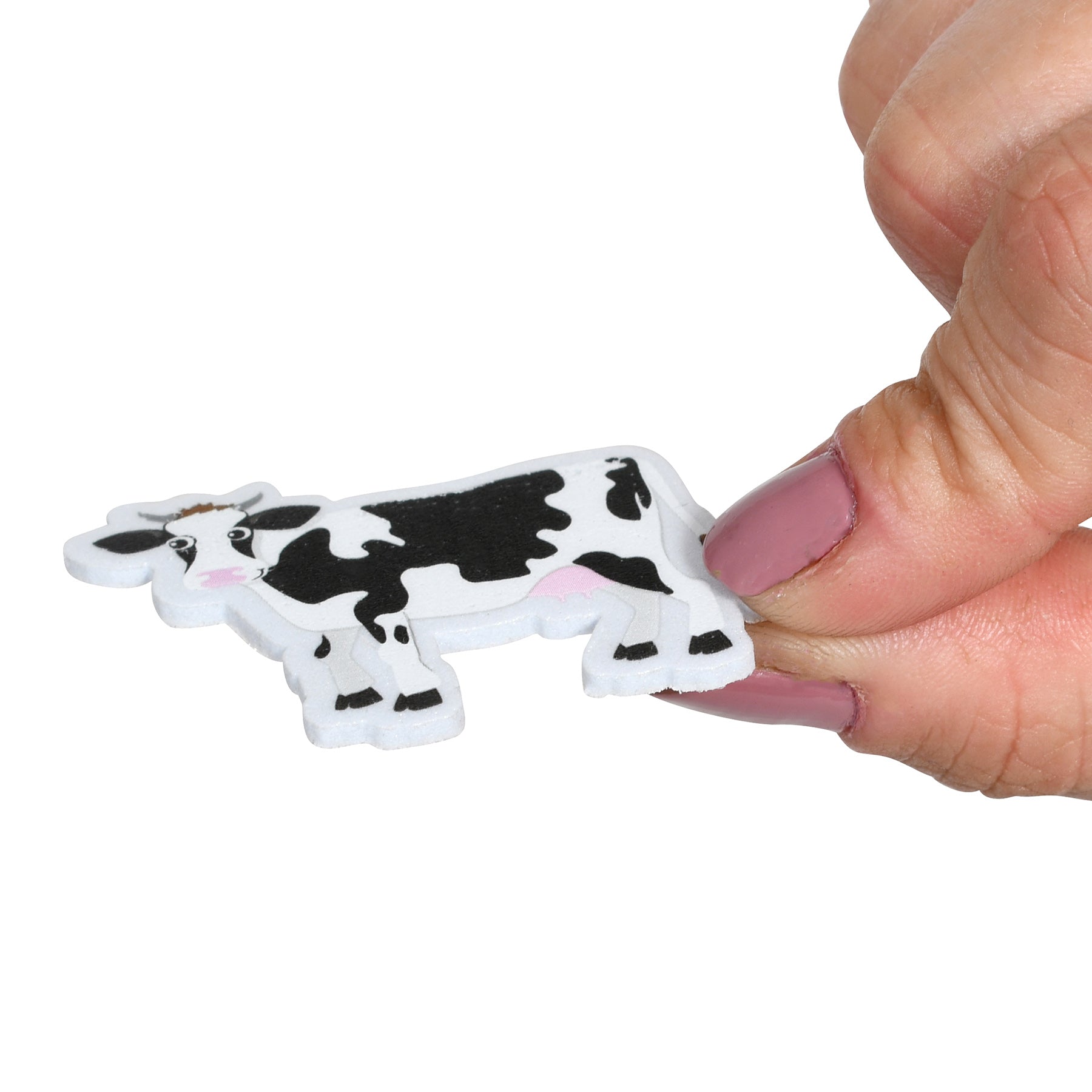 256049639.jpg