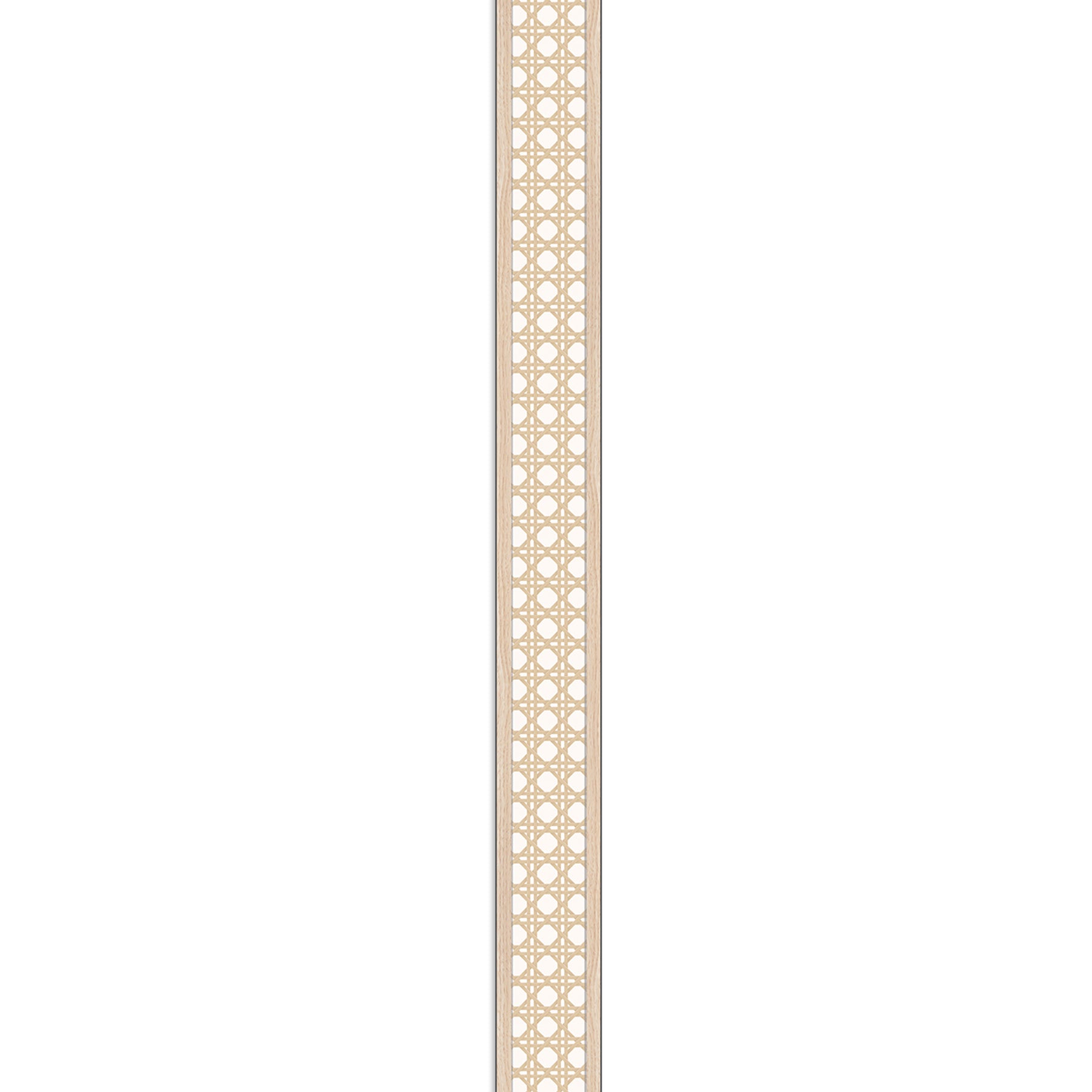 256050997.jpg