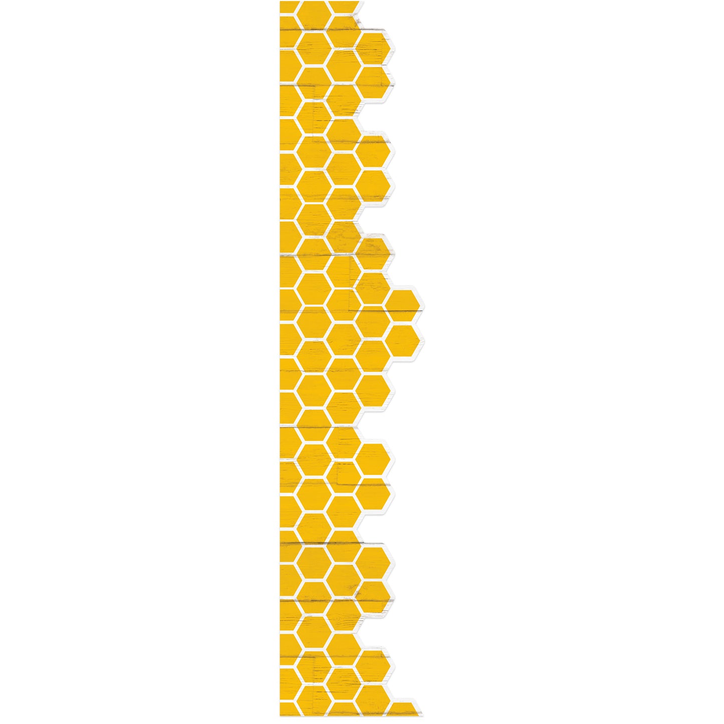 256054235.jpg