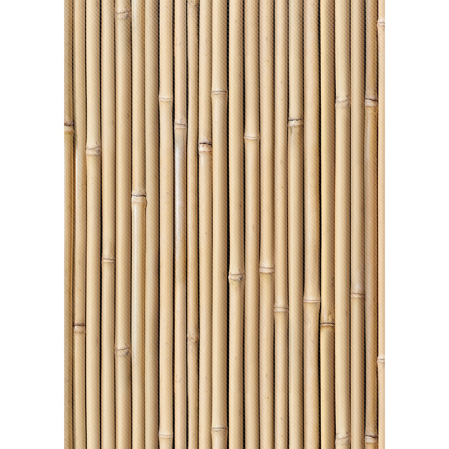 259341136.jpg