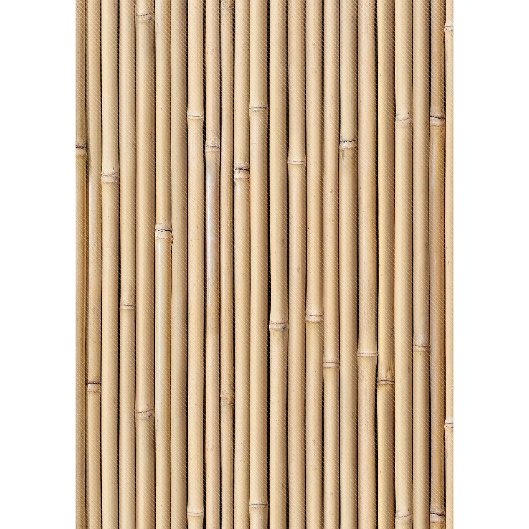 259341136.jpg