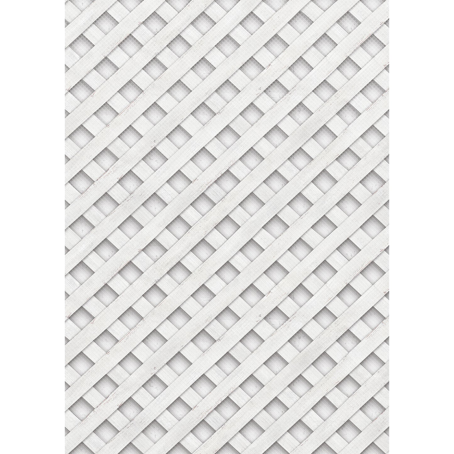 259345253.jpg