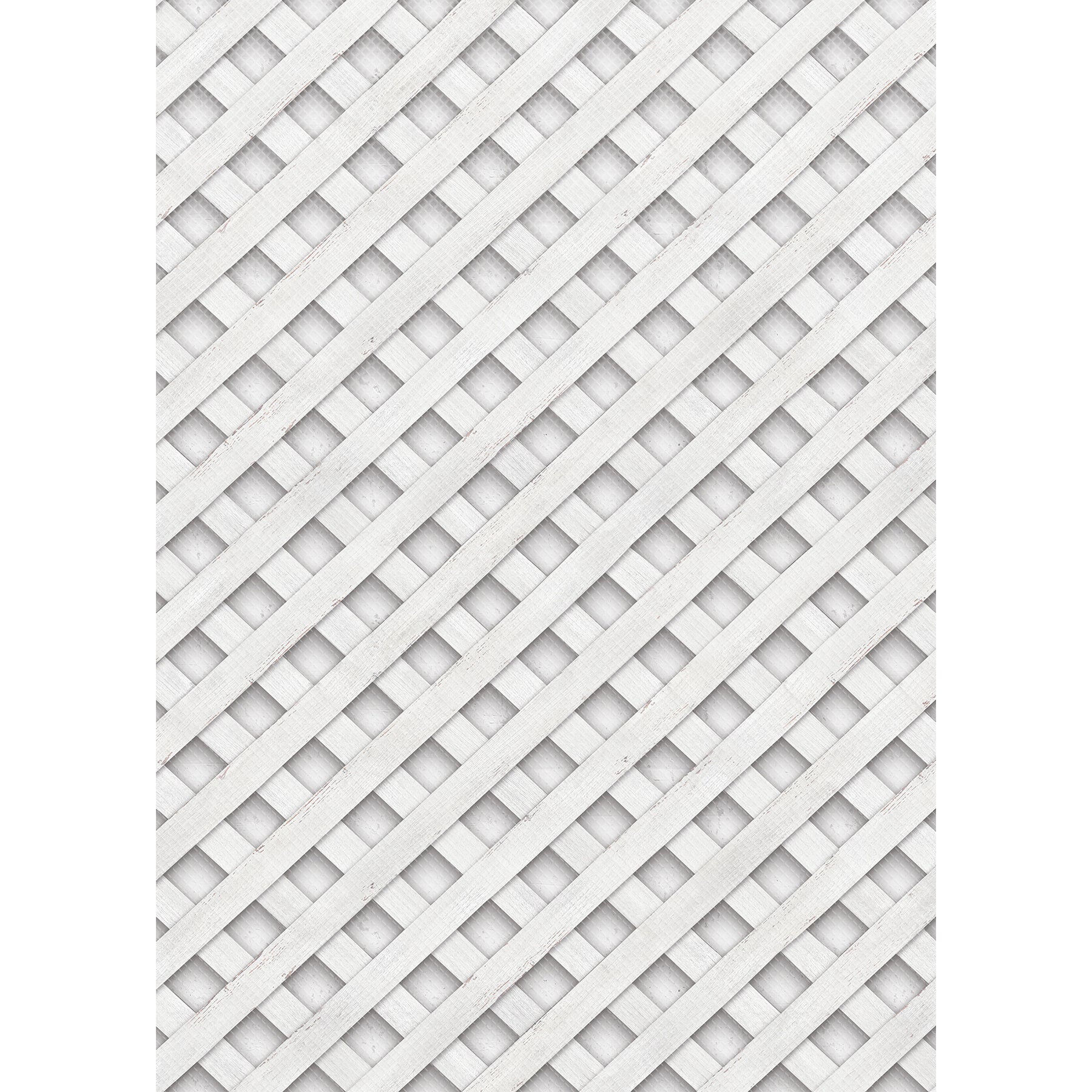 259345253.jpg