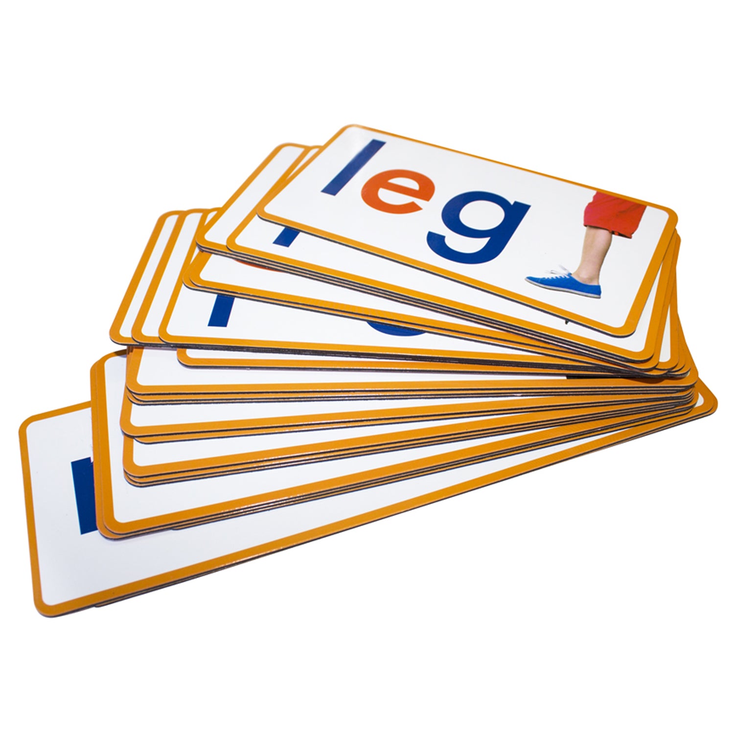 259359008.jpg