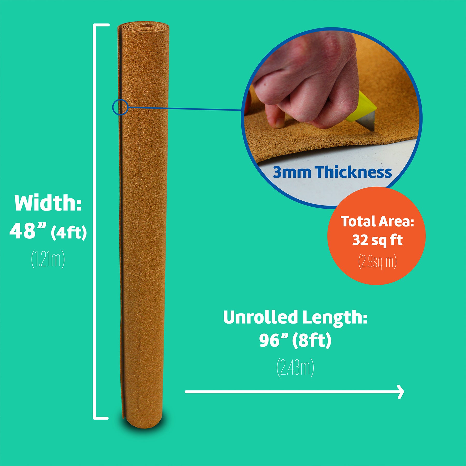 259366809.jpg
