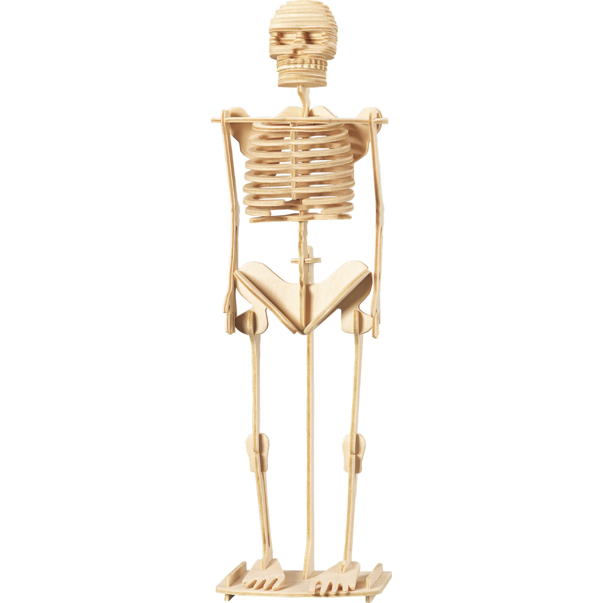 259371374.jpg