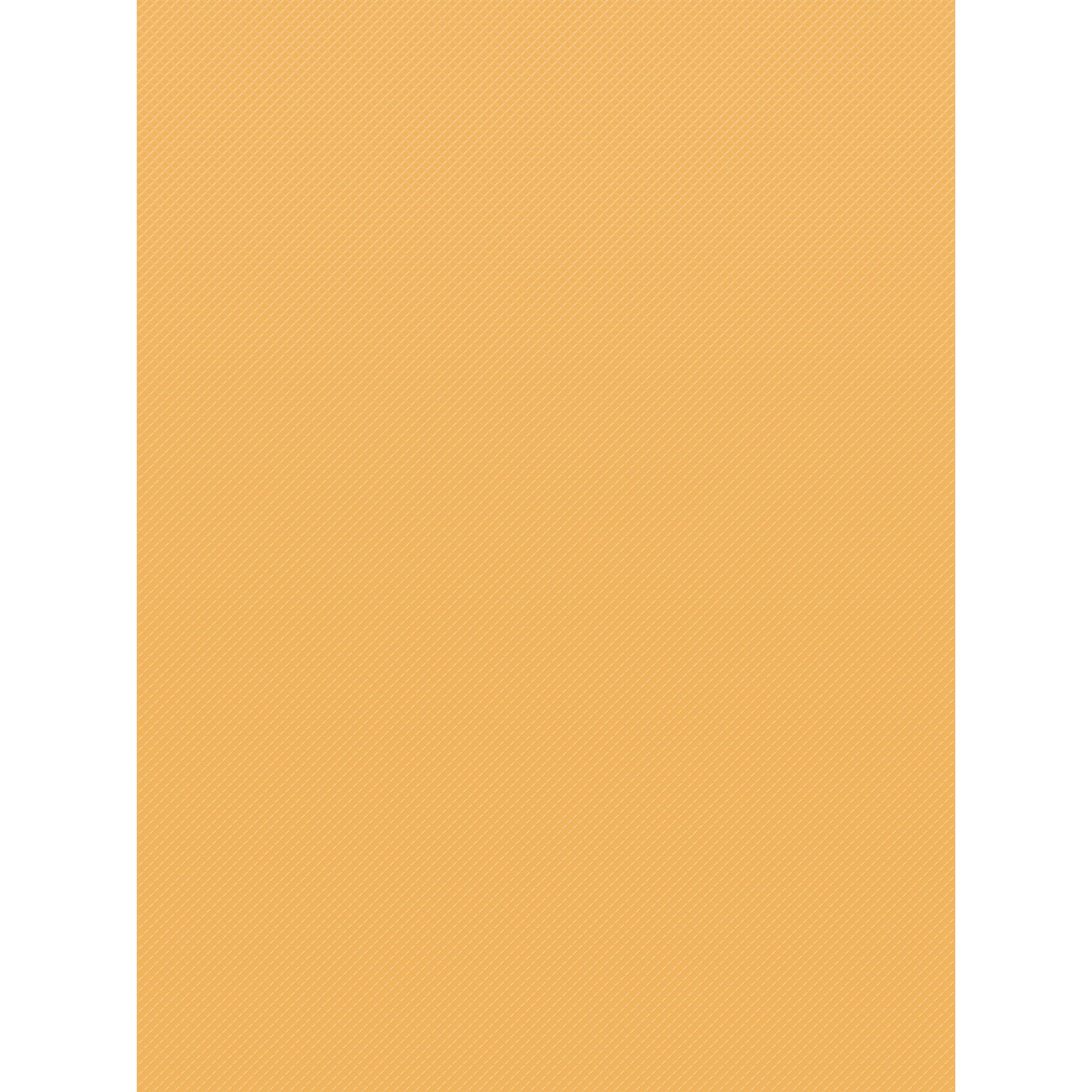 263529301.jpg