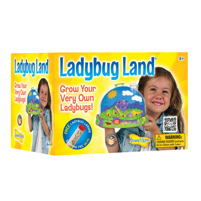 Insect Lore Ladybug Land (ILP 2100)