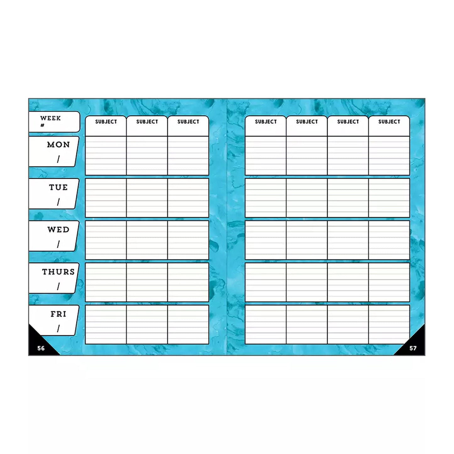 Carson Dellosa Celebrate Learning Teacher Planner (CD-105000)