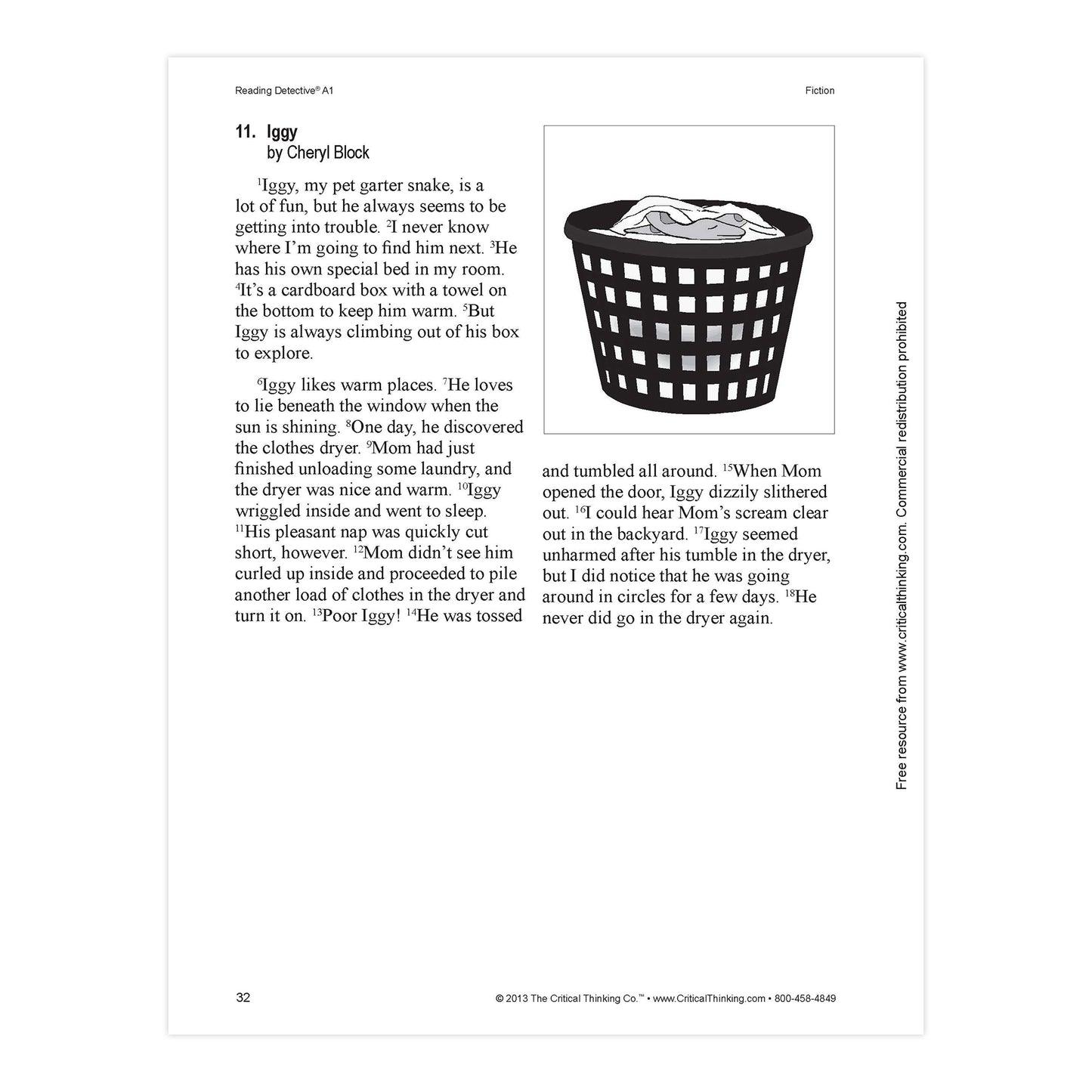 Reading Detective® Book, A1, Grade 5-6
