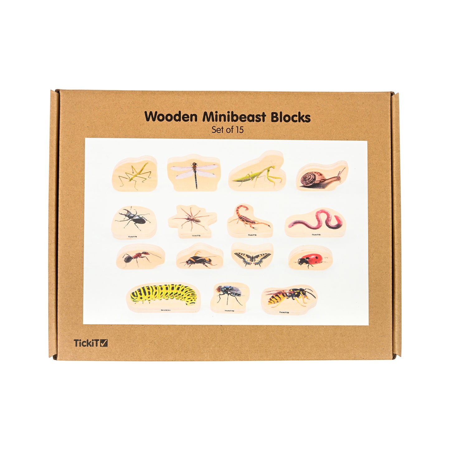 Wooden Minibeast Blocks - Set of 15