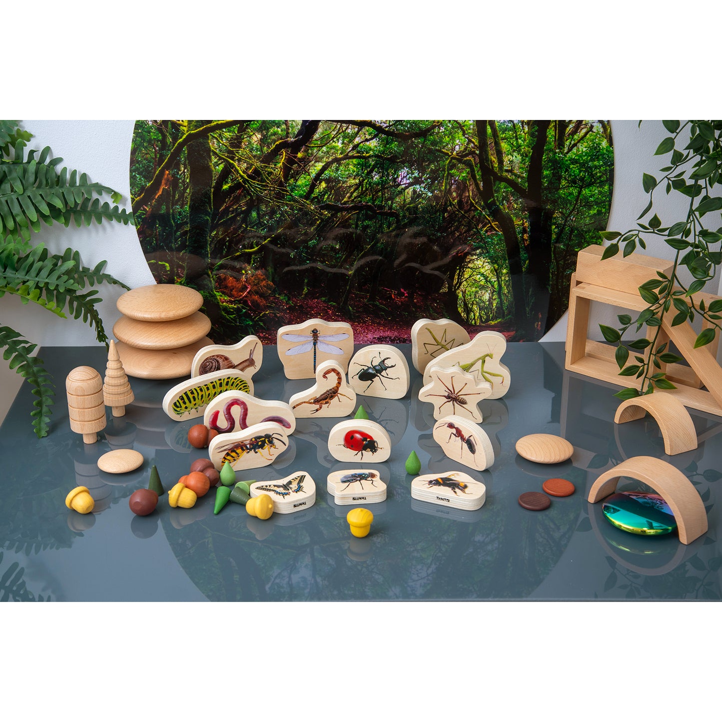 Wooden Minibeast Blocks - Set of 15